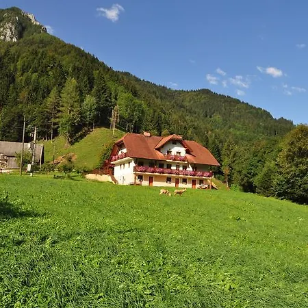Na Logu - Farm Ambroz Gregorc * Solčava