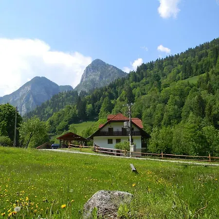 Na Logu - Farm Ambroz Gregorc