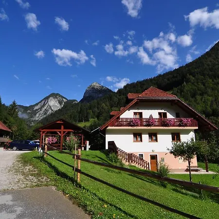Na Logu - Farm Ambroz Gregorc Séjour à la ferme *