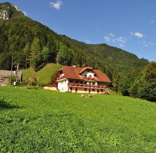 Na Logu - Farm Ambroz Gregorc * Solčava