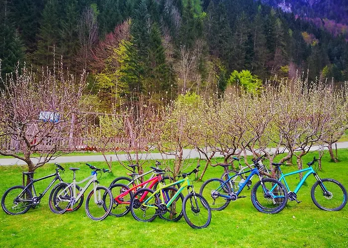 Na Logu - Farm Ambroz Gregorc Çiftlik konaklama *